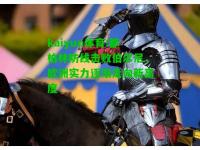 kaiyun体育:都柏林防线击败伯尔尼，欧洲实力逐渐走向新高度