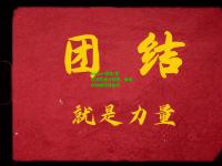 kaiyun体育:爱尔兰队奋力拼搏，困难时刻需团结协作