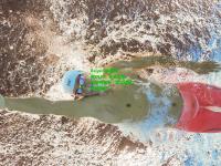 kaiyun体育:澳网2024，新星闪耀与传奇续写，网球盛宴再掀高潮