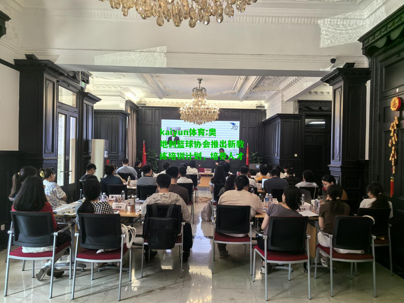 kaiyun体育:奥地利篮球协会推出新教练培训计划，培养人才