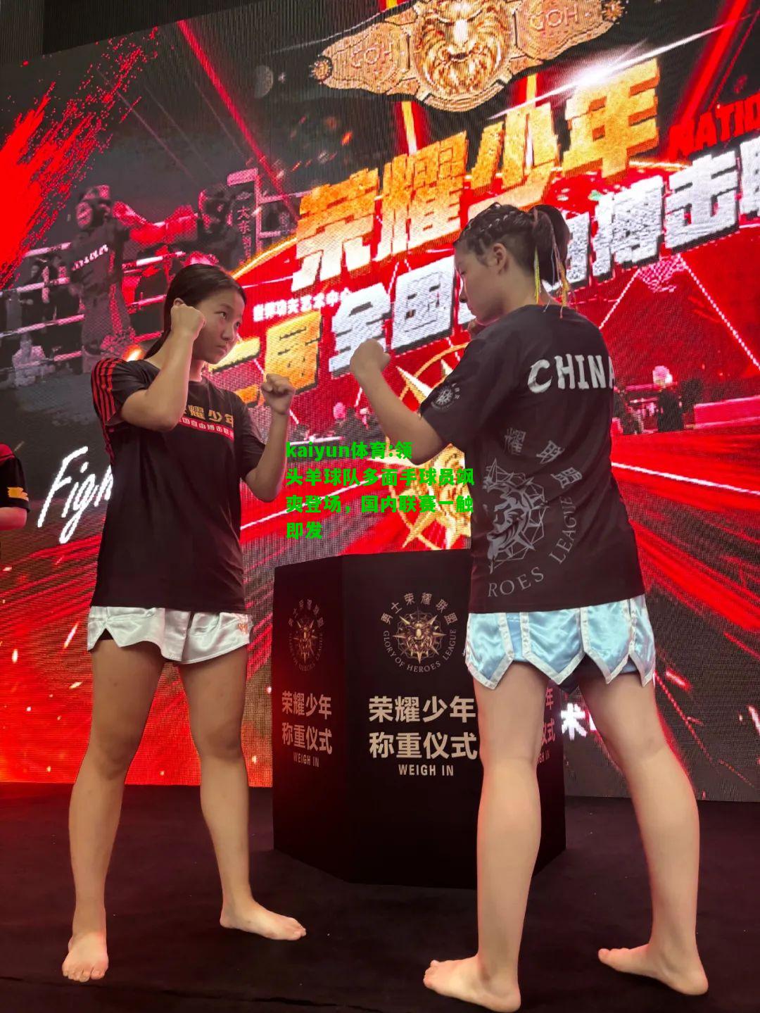 kaiyun体育:领头羊球队多面手球员飒爽登场，国内联赛一触即发